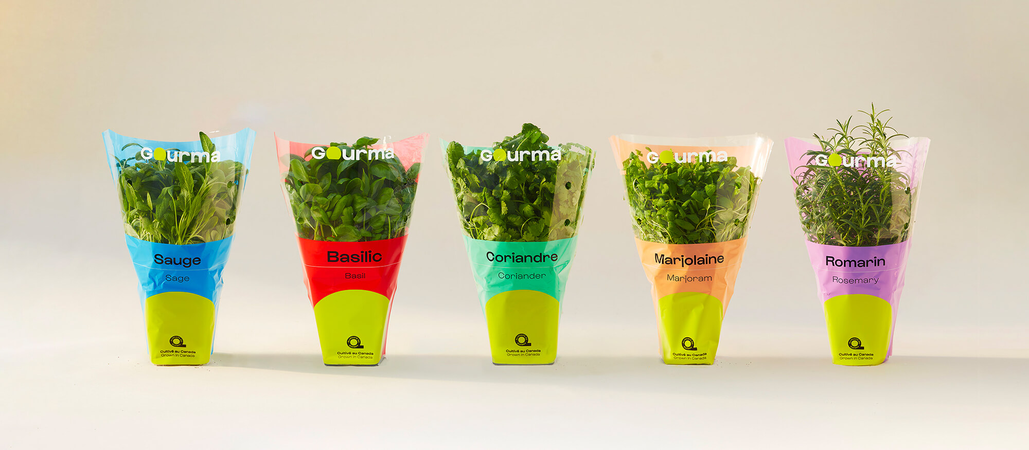 Gourma herbs are displayed in their colour coded packaging