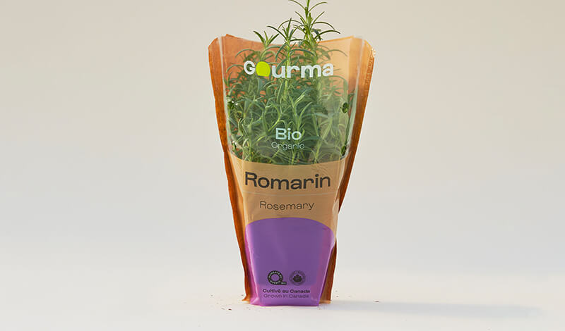 Packaging of Rosemary
