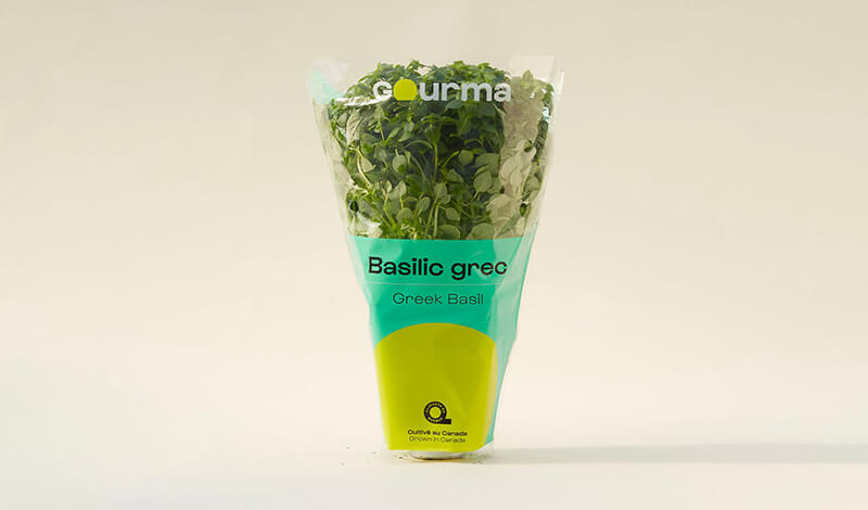 Packaging of Greek Basil