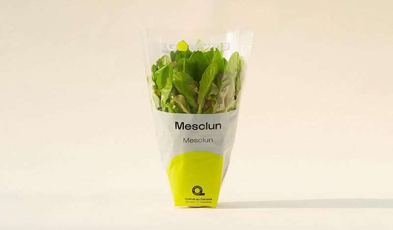 Packaging of Mesclun