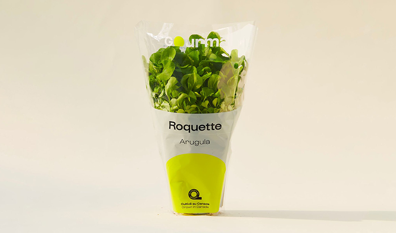 Packaging of Arugula