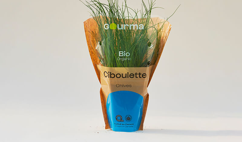 Packaging of Chives