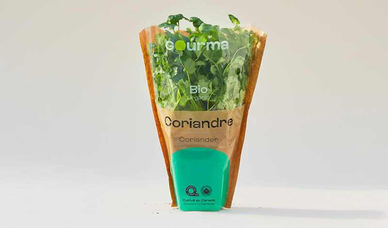 Packaging of Coriander