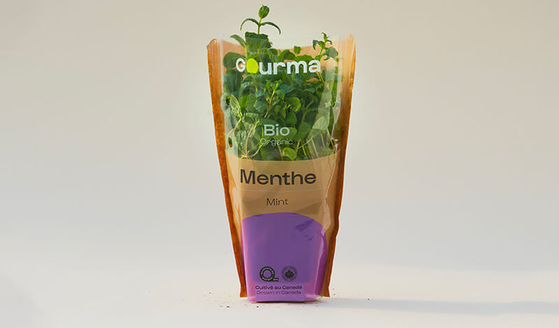 Packaging of Mint
