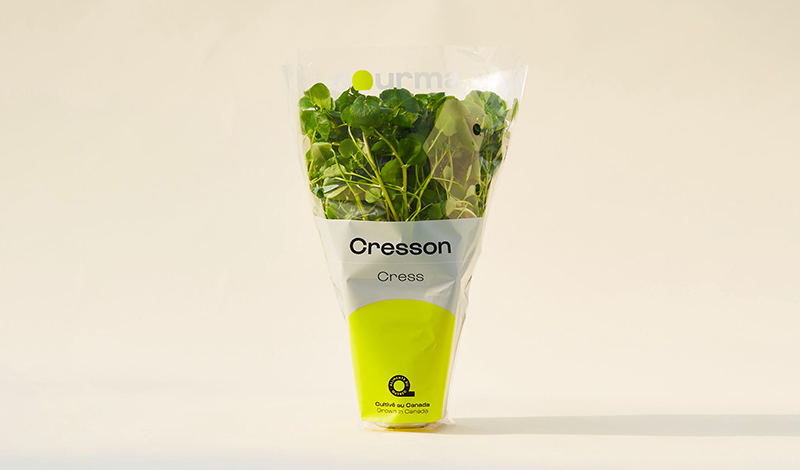 Packaging of Cress