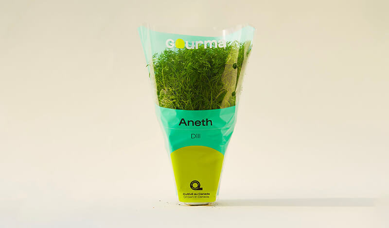 Packaging of Dill