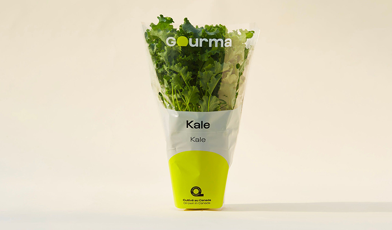 Packaging of Kale