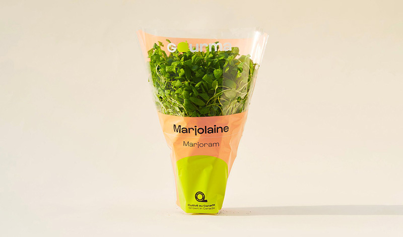 Packaging of Marjoram