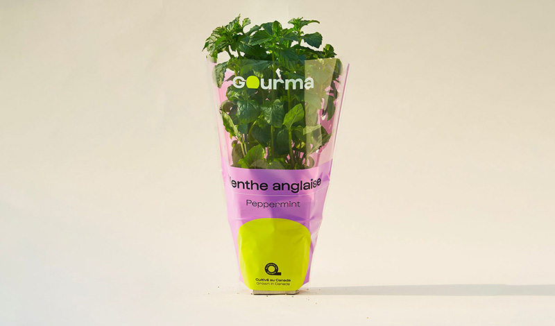 Packaging of Peppermint