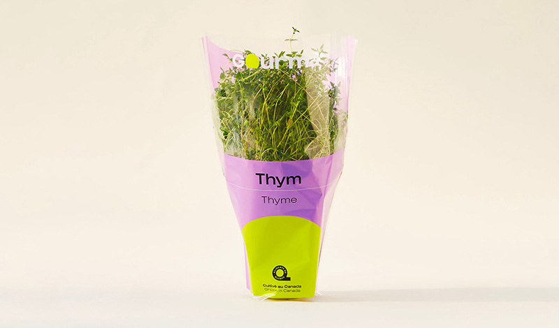 Packaging of Thyme